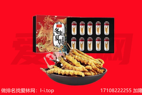 台州玉环市回收虫草.jpg